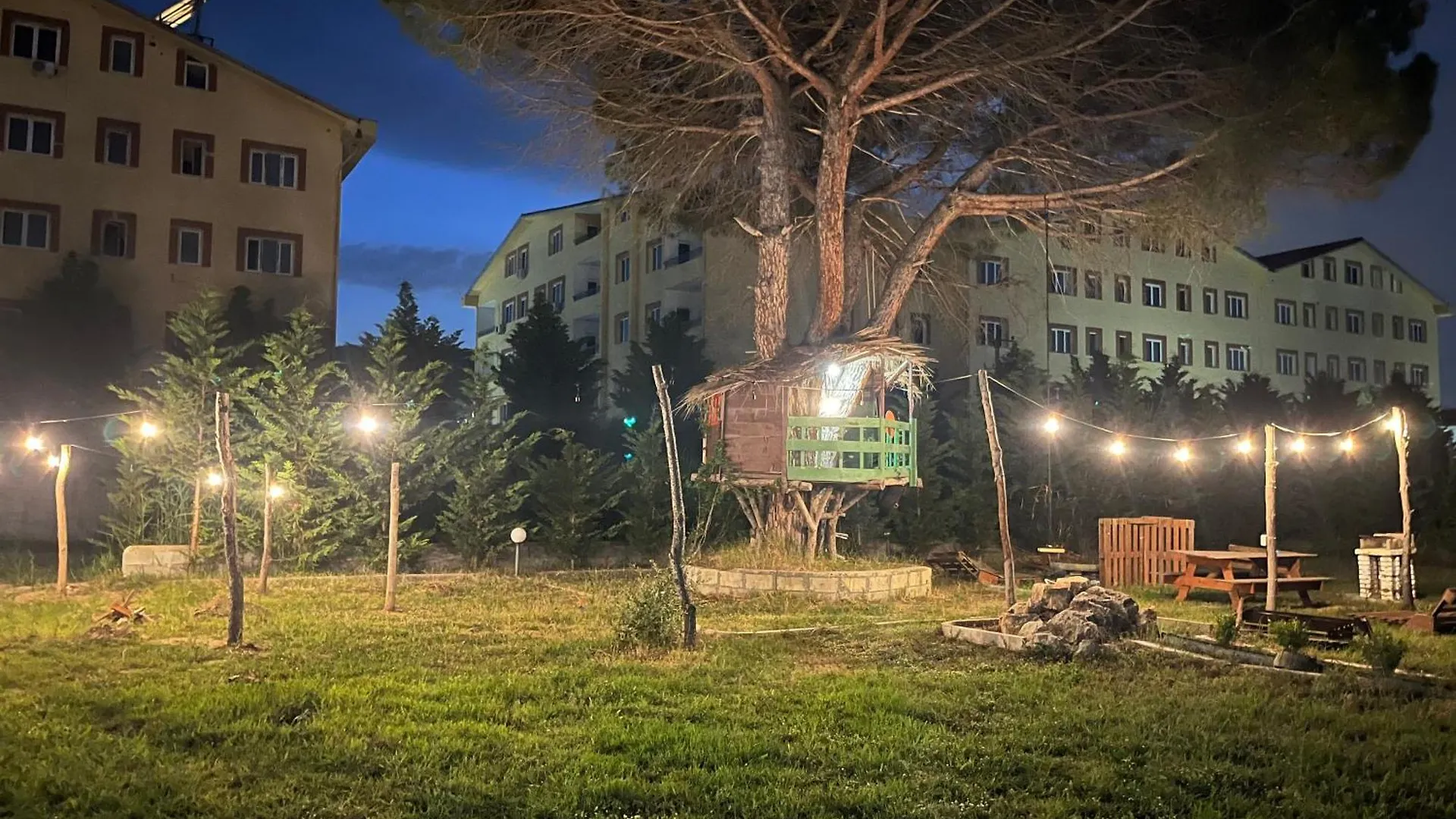 Family Tree - Quiet Area - Self Check In Aparthotel Golem  Albanien